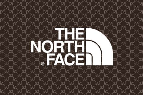 gucci x north face palm springs|North Face x Gucci Logo Explores New Directions in Time for .